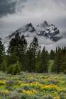 USA, Wyoming. Cathedral view of Mount Teewinot, Grand Teton and Mount Owen Art Print